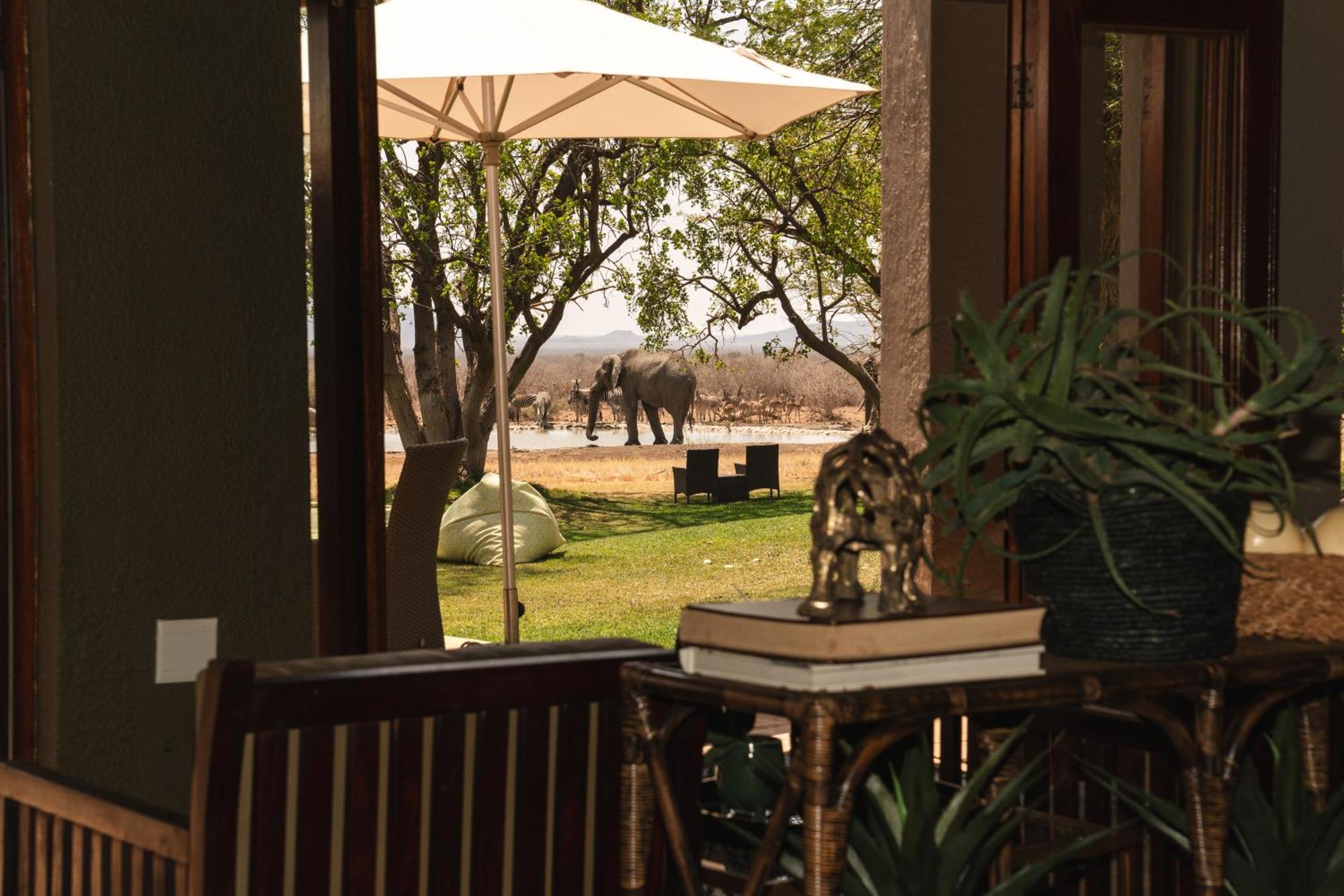 Last Word Madikwe Madikwe Game Reserve Esterno foto