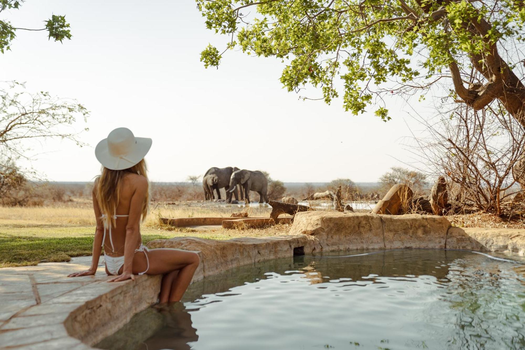 Last Word Madikwe Madikwe Game Reserve Esterno foto