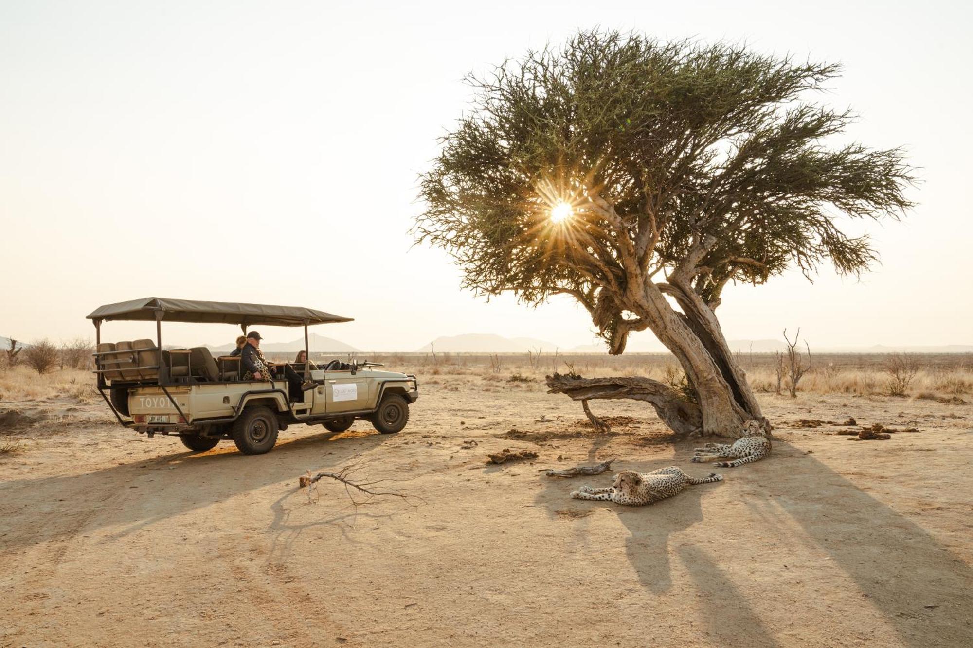 Last Word Madikwe Madikwe Game Reserve Esterno foto