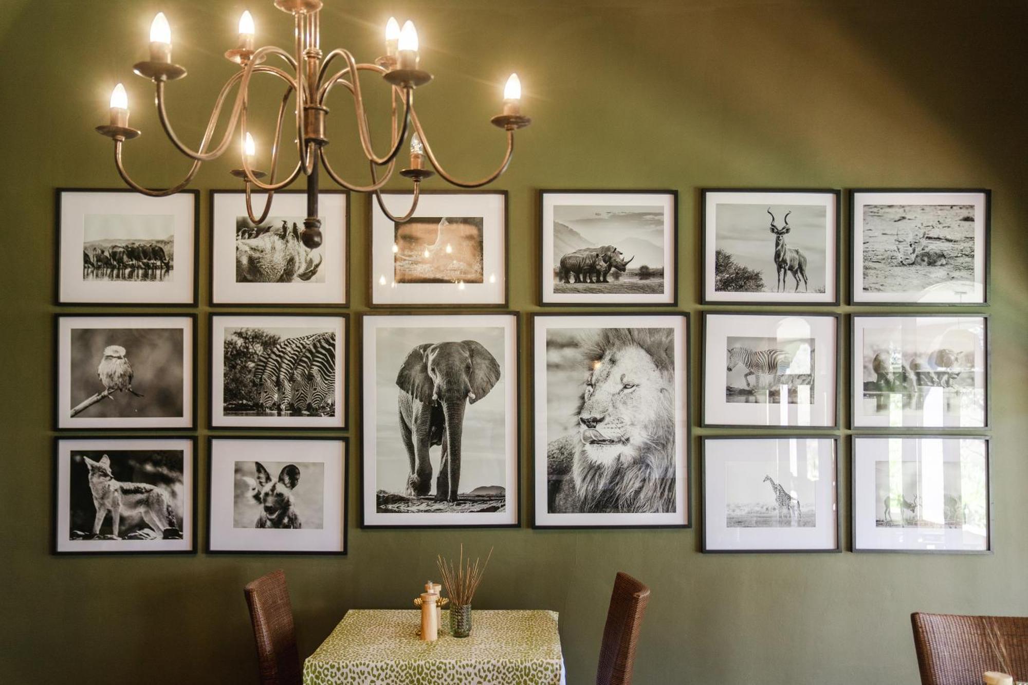 Last Word Madikwe Madikwe Game Reserve Esterno foto