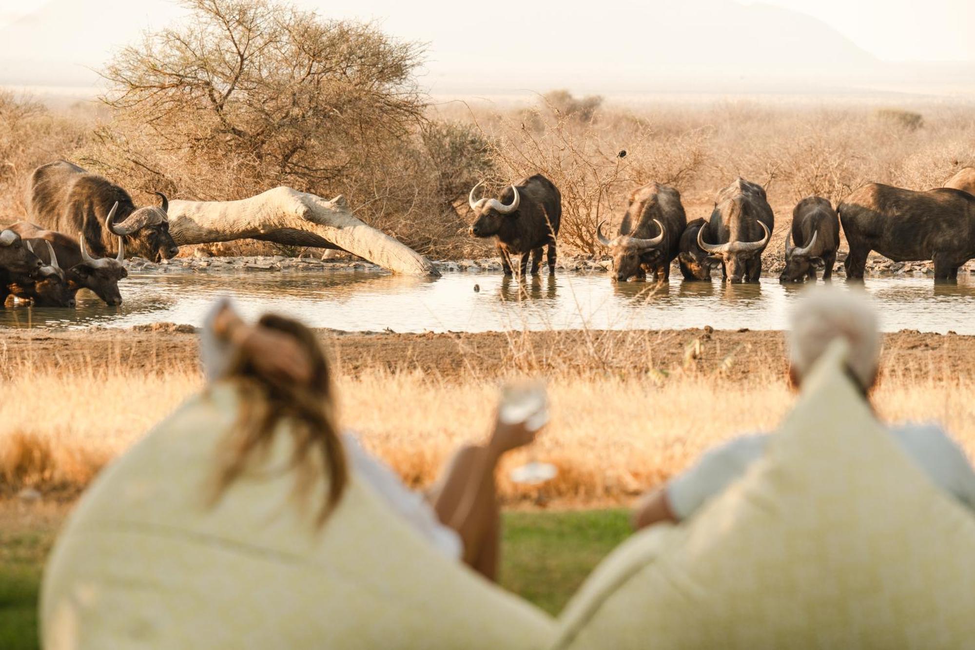 Last Word Madikwe Madikwe Game Reserve Esterno foto