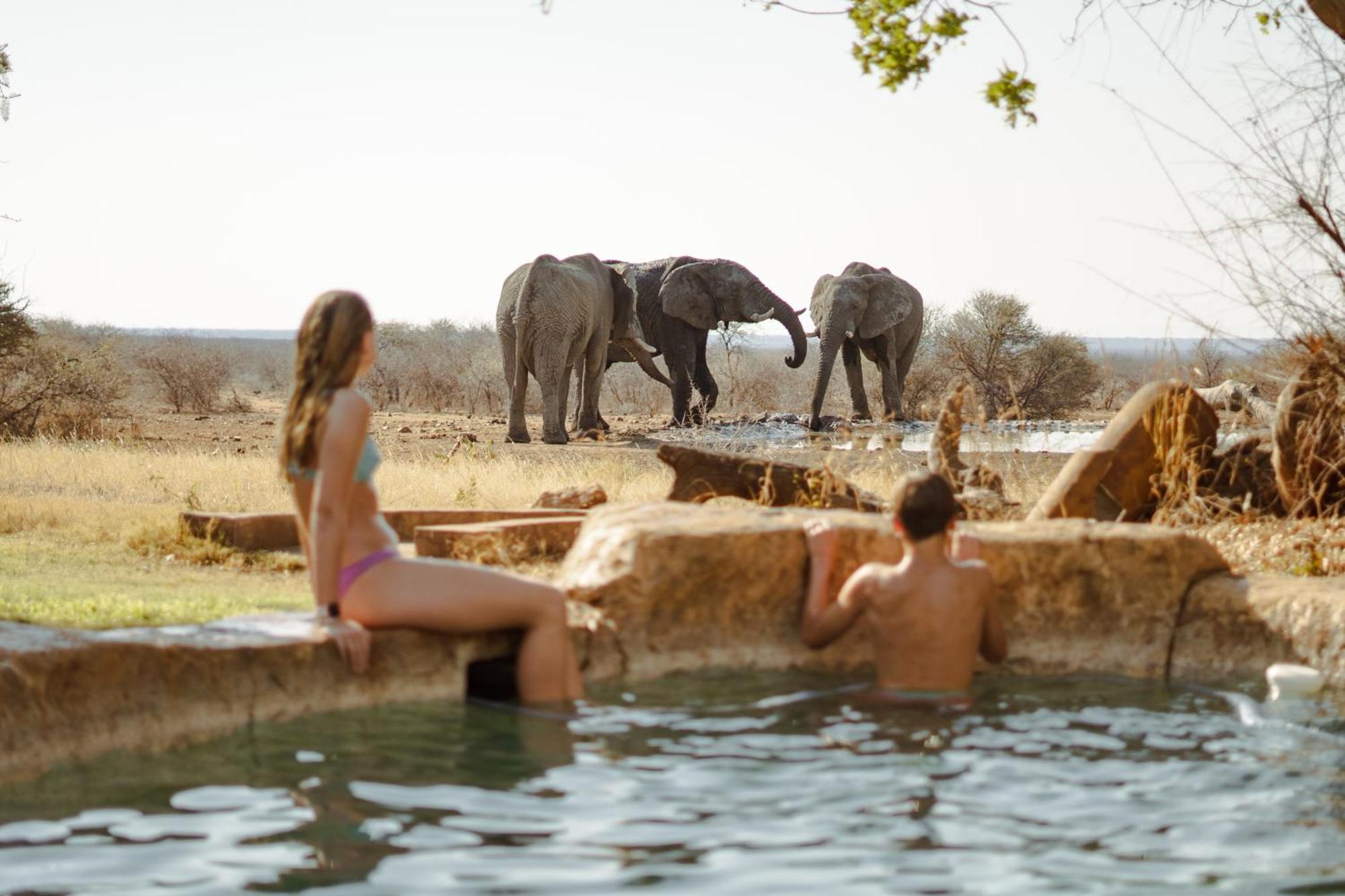 Last Word Madikwe Madikwe Game Reserve Esterno foto