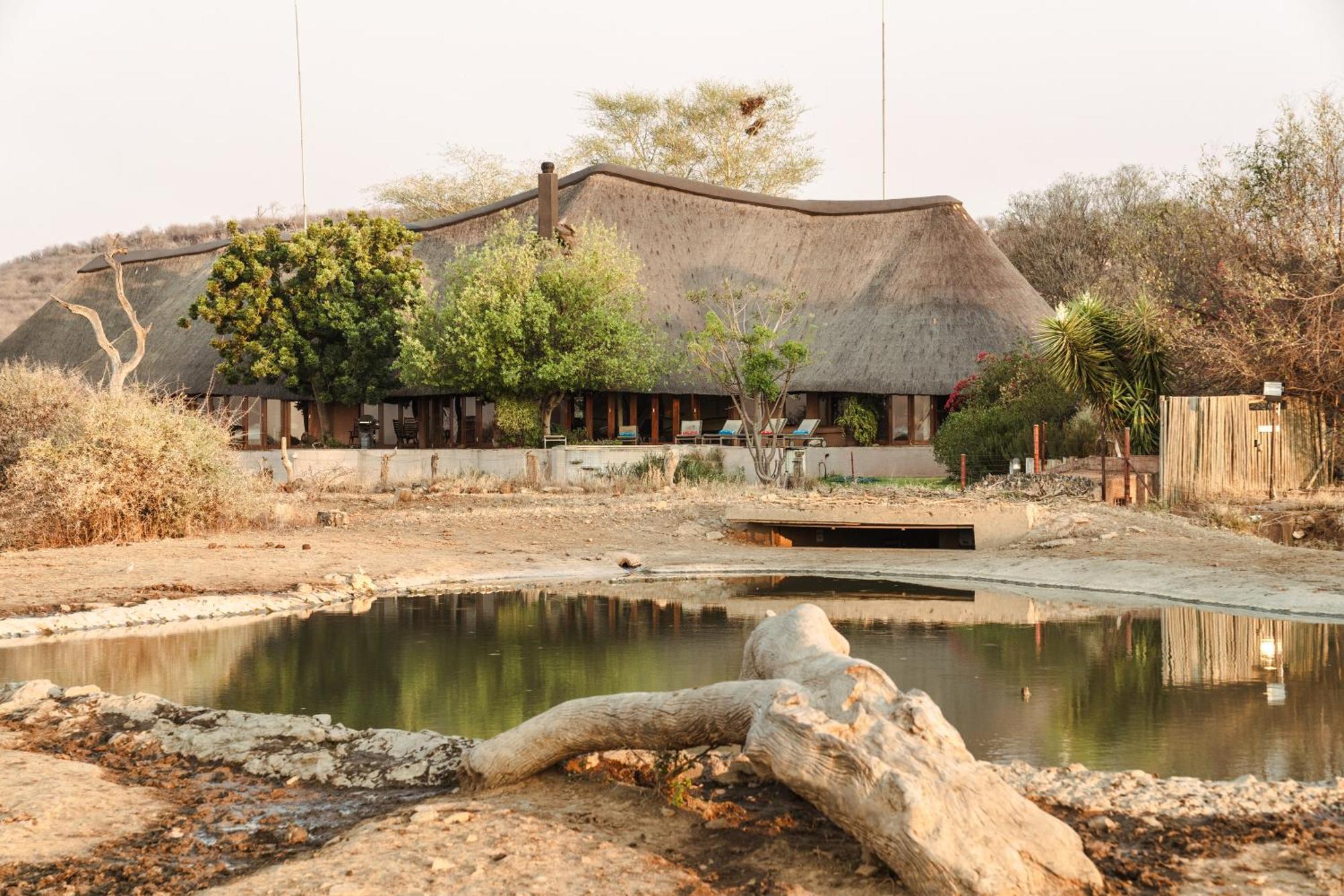 Last Word Madikwe Madikwe Game Reserve Esterno foto